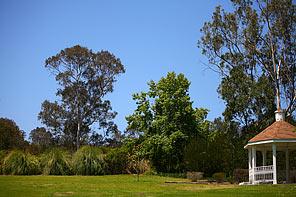 لنز کنون 200 70