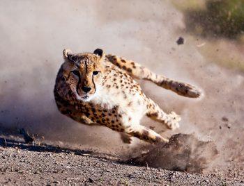 لنز کنون 400-100