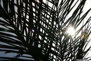 لنز کنون 200 70