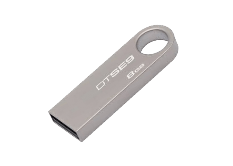 فلش مموری کینگستون USB Flash Kingston SE9 8GB