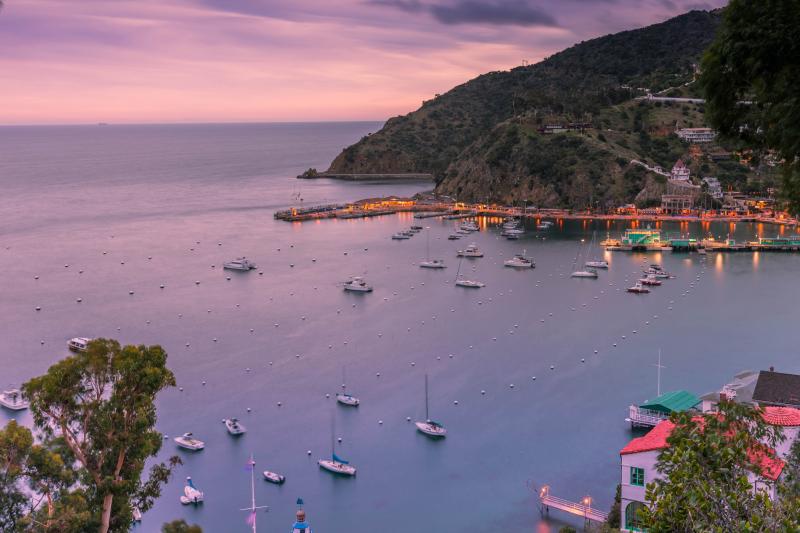 نمونه عکس با دوربین عکاسی کانن CANON 5D Mark IV (24-105II)