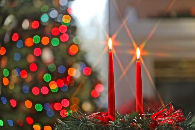 نمونه عکس با دوربین عکاسی کانن CANON 5D Mark IV (24-105II)