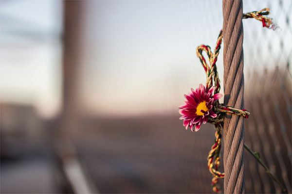 نمونه عکس با لنز سیگما Sigma 35mm F1.4 DG HSM Art for Canon