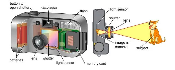 انواع دوربین عکاسی