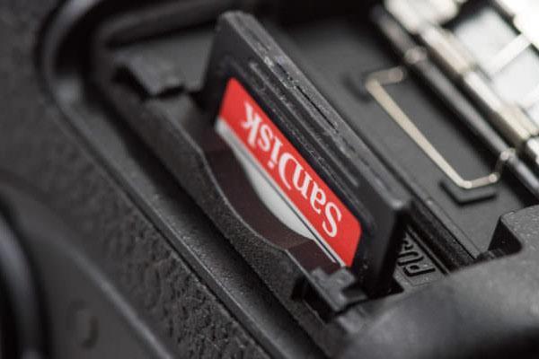 ورودی کارت حافظه دوربین عکاسی نیکون D7500