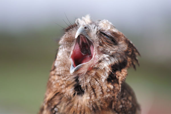 نمونه عکس با لنز سیگما مدل Sigma 105mm f/2.8 DG OS HSM Macro