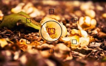 اشتباهات عکاسی