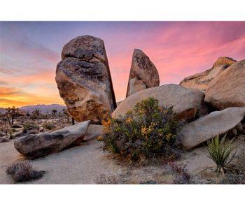 لنز سیگما مدل Sigma 24mm f/1.4 DG HSM Art