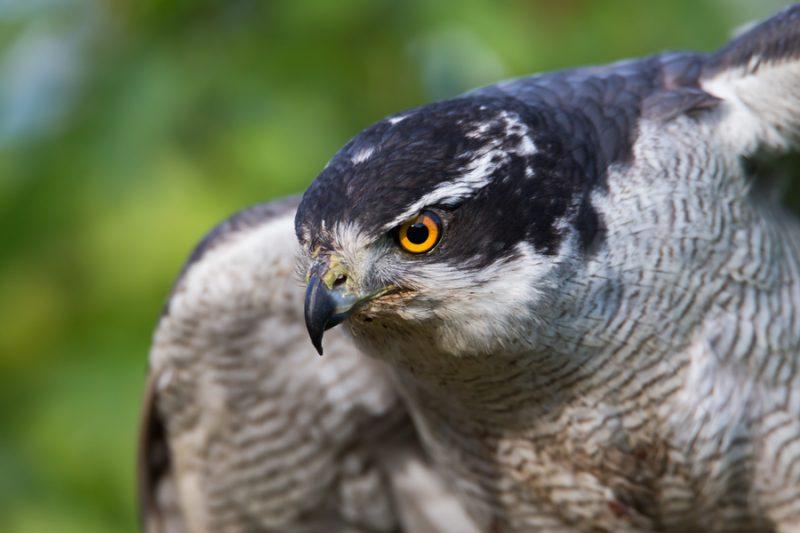 لنز تامرون 600-150