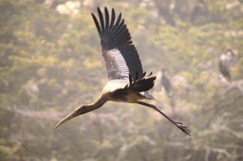 لنز سیگما 200-70