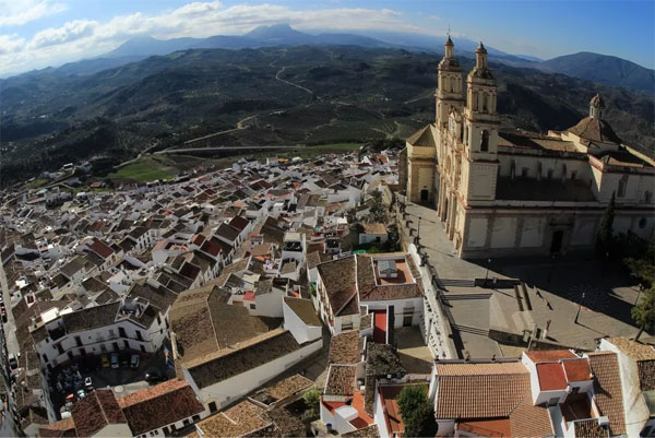 نمونه تصویر گرفته شده با دوربین کانن Canon 4000D