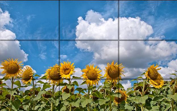 قوانین ترکیب بندی در عکاسی