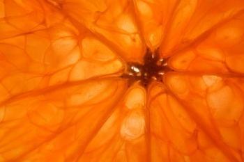 عکاسی کلوزآپ