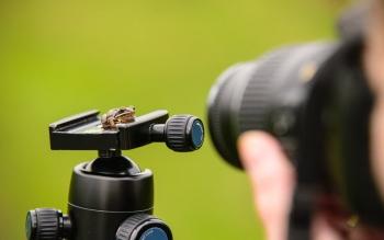 عکاسی ماکرو