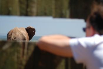 عکاسی قاب در قاب