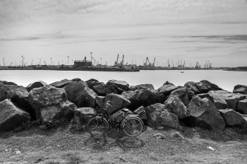 بهترین عکاسان ایرانی