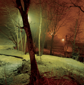 بهترین عکاسان ایرانی