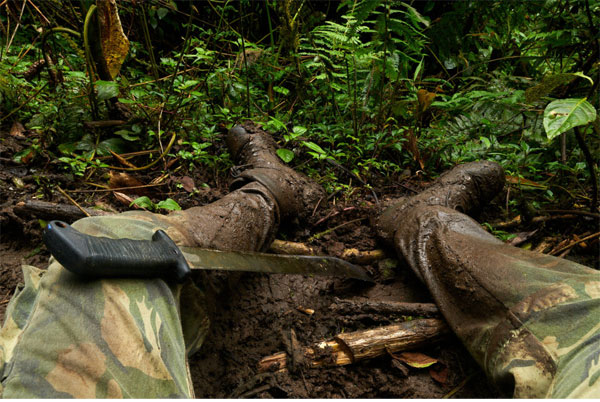 عکاسی حیات وحش