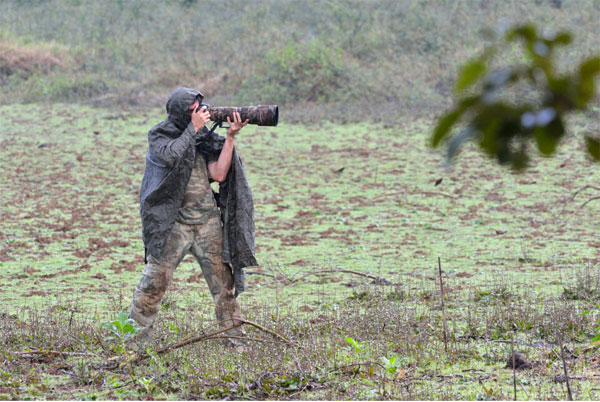 عکاسی حیات وحش