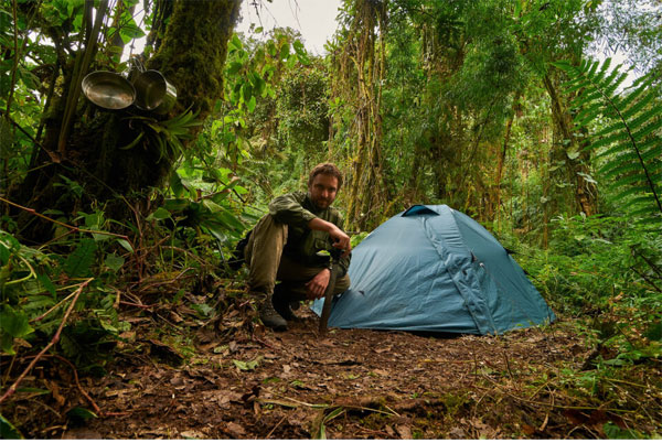 عکاسی حیات وحش