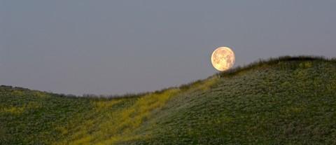 پرسپکتیو در عکاسی