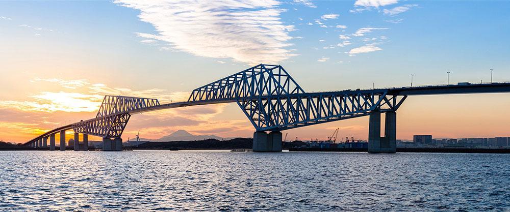 لرزشگیر اسمو موبایل 2