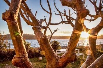 عکس گرفتن با دوربین 1300D