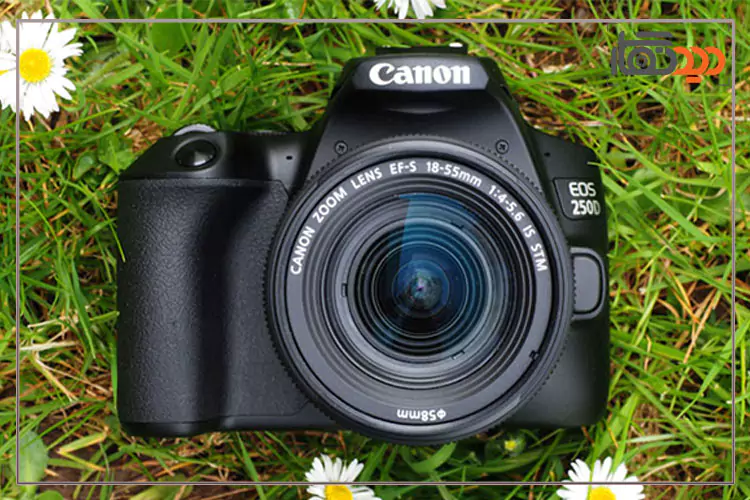 نمای دوربین canon 250d