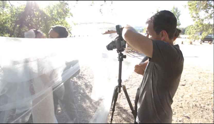 فلیر با تور عروسی