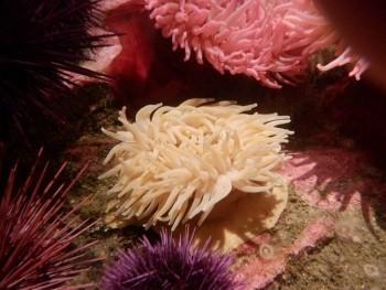 نمونه عکس دوربین فوجی xp140