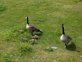 نمونه عکس دوربین فوجی xp140