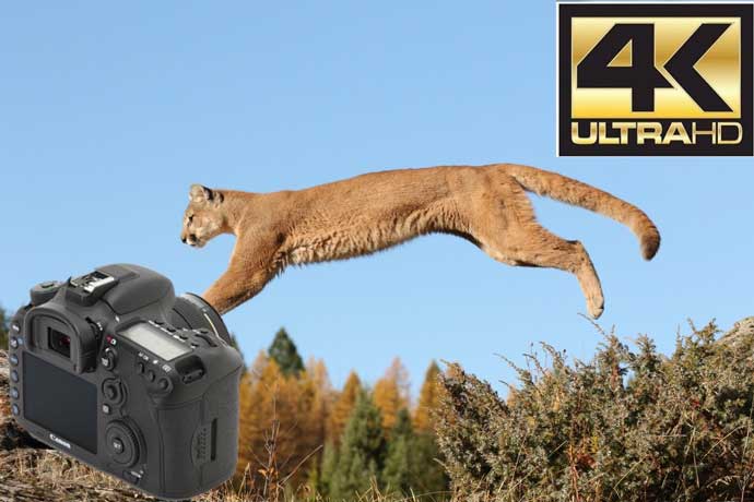 دوربین 7d مارک 3