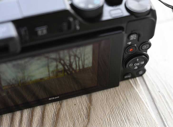 دوربین نیکون A1000