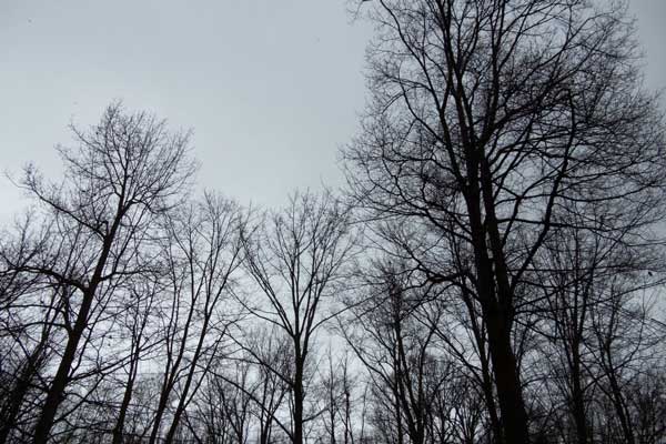 عکس گرفته شده با A1000