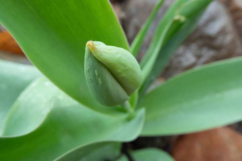 عکس گرفته شده با A1000