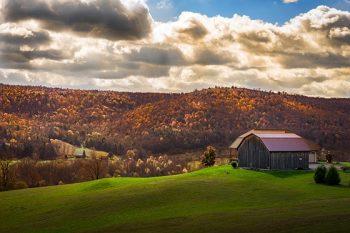 نمونه تصویر از طبیعت در نور کم با لنز سونی 24-70 f4