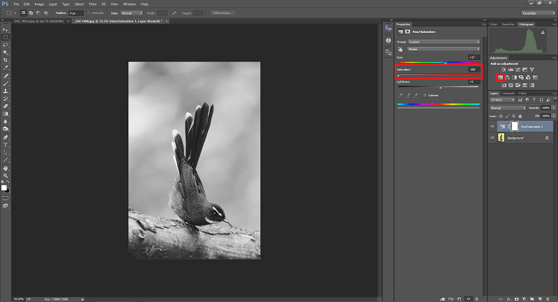 تغییر Saturation عکس