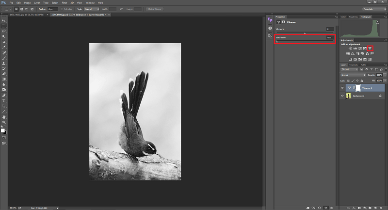 آموزش تبدیل عکس رنگی به سیاه و سفید در فتوشاپ