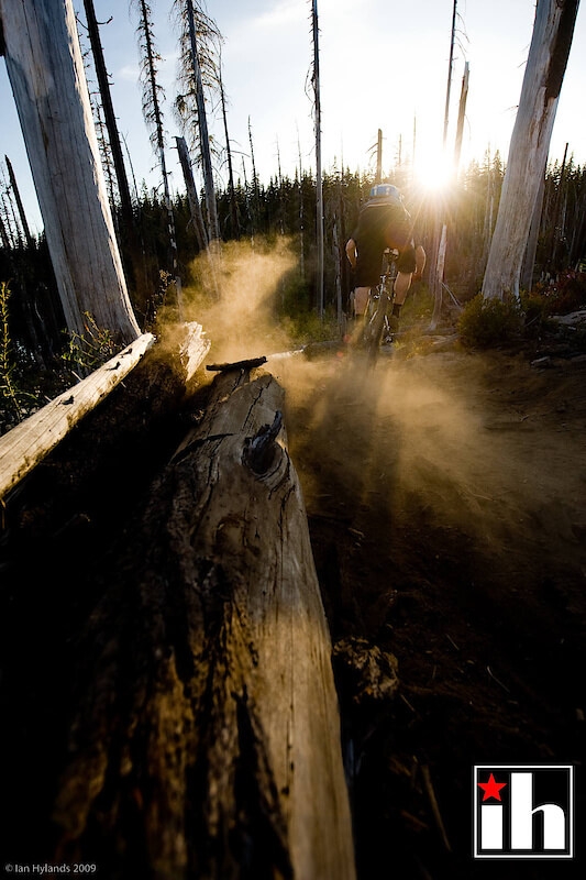 نور در عکاسی