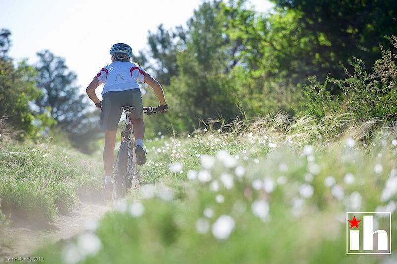 عکاسی در نور آفتاب