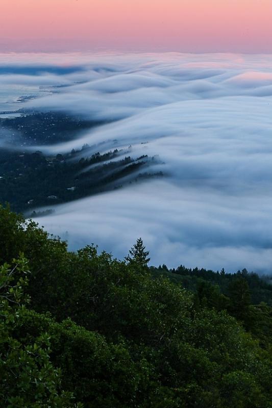 ترفند های عکاسی از مه