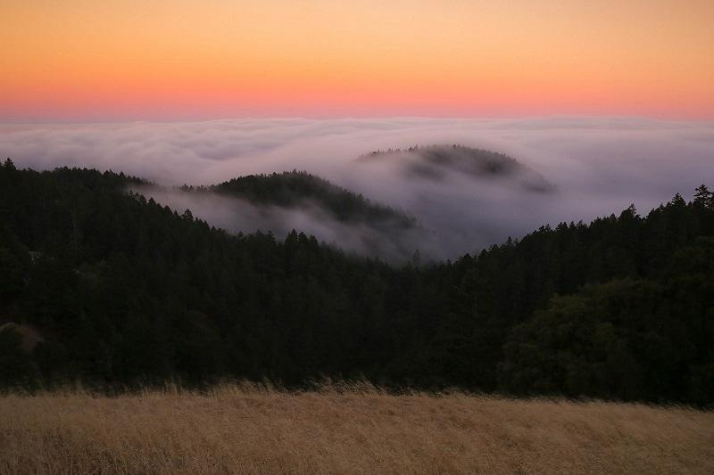 عکاسی از مه