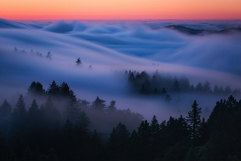 آموزش عکاسی از مه