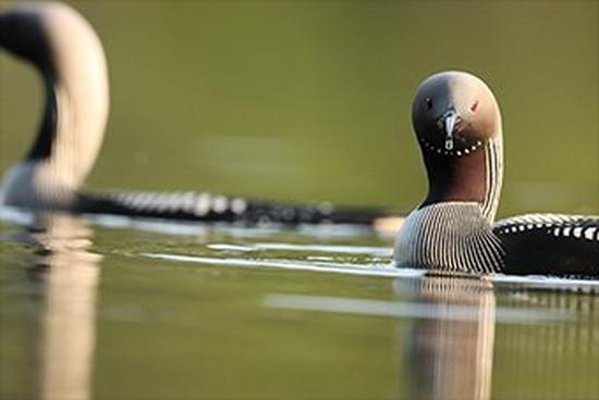 عکسهای دوربین 90d