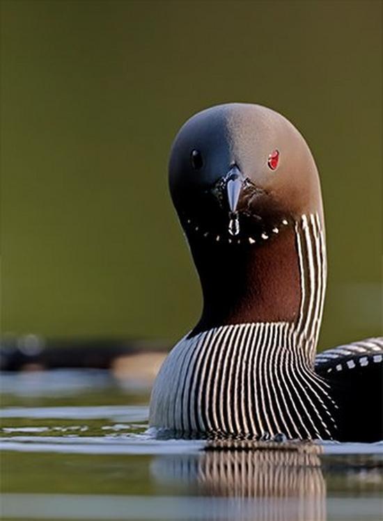 عکسهای دوربین 90d