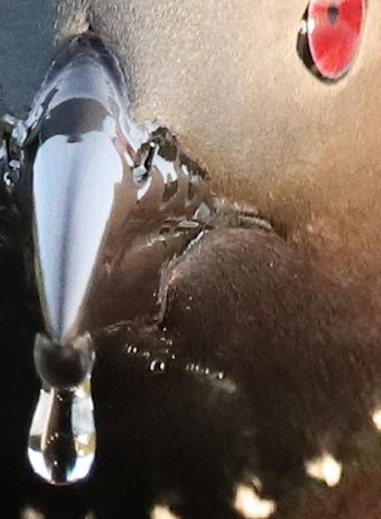 عکسهای دوربین 90d