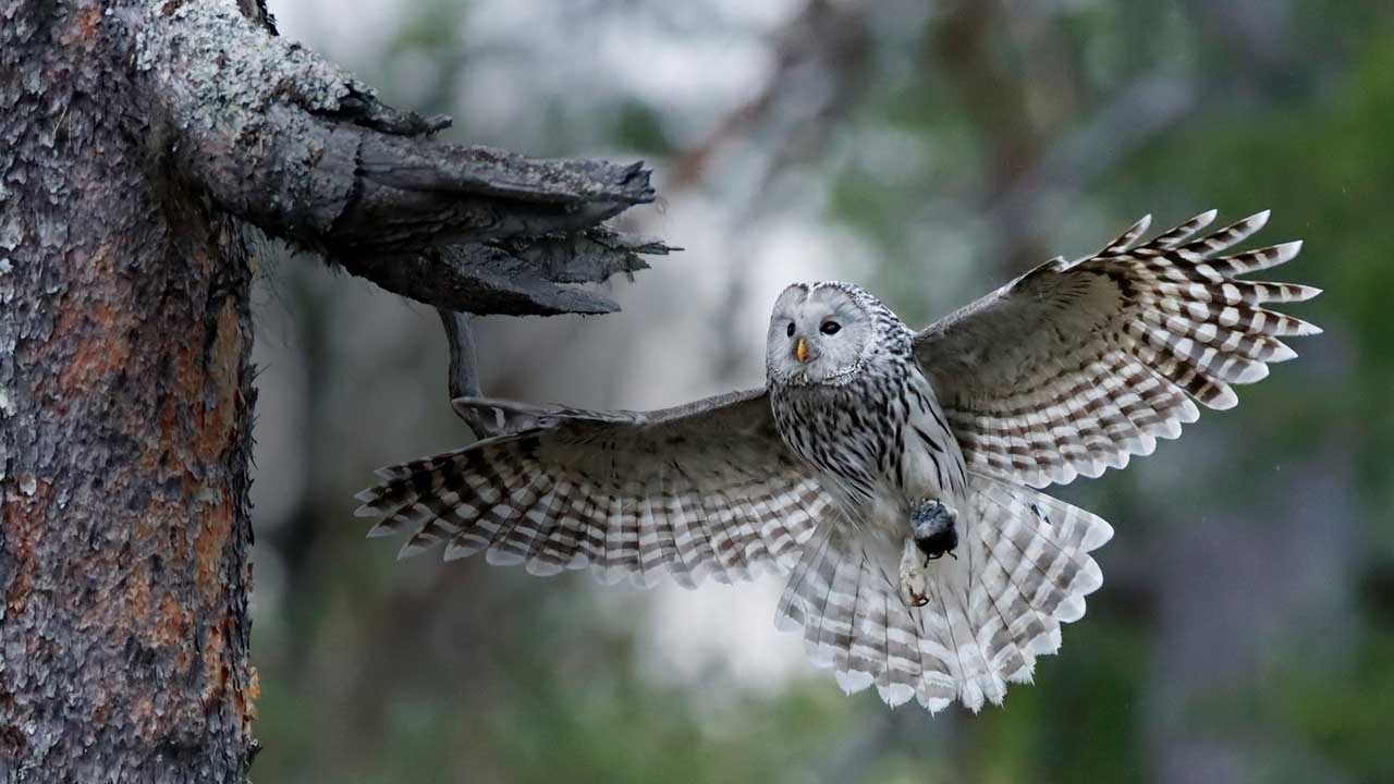 عکسهای گرفته شده با کانن 90d