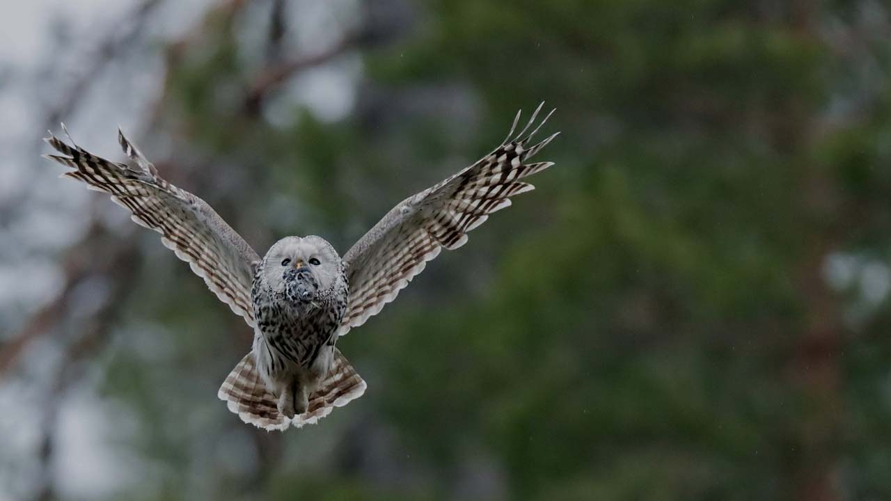 عکس از دوربین 90d canon