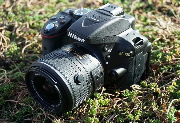 مقایسه دوربین نیکون D3500 و D5300
