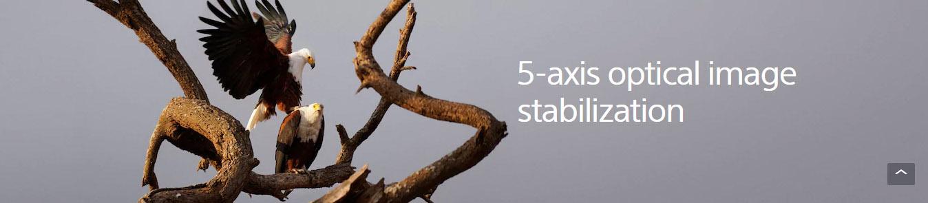 دوربین سونی a6600